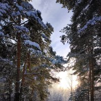 Зима :: Oleg S