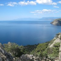 Природа Крыма :: Amazing Cosmea