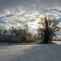 Зима. :: Владимир 