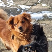 Остановись, мгновенье! :) :: Наталья Остановись, мгновенье! :) :: Наталья