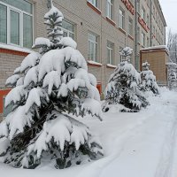 Три сестрицы под окном в белых шубках щеголяли. :: Лилия * Три сестрицы под окном в белых шубках щеголяли. :: Лилия *