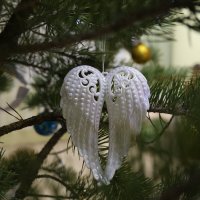 крылья :: Гульфина Булатова