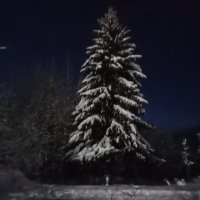 В ночь перед Рождеством :: Виктор 