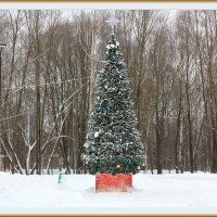 Новогоднее украшение городского парка :: Alisia La DEMA