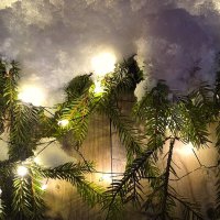 "рождественские огоньки" :: Olga Oskolkova