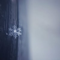 снежинка :: Алла Новикова