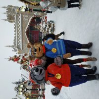 Этих снегопадом не испугаешь :: Андрей Лукьянов