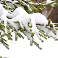 Зима за городом :: Татьяна Тюменка