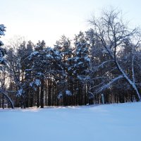 Зимние зарисовки :: Любовь Сахарова