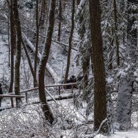 С родника :: Сергей Цветков