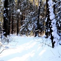 *** :: Александр 