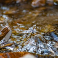 ... :: Андрей Щукин