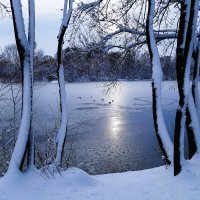 Парк Южный, Калининград :: Рита Симонова