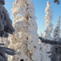 Лыжница :: Евгений Тарасов Лыжница :: Евгений Тарасов