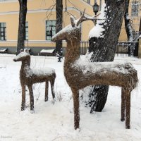 Соломенные  Олени :: Ната57 Наталья Мамедова