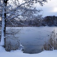 Парк Южный, Калининград :: Рита Симонова