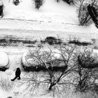 Заснеженный двор. :: Василий Палий