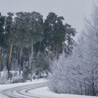 Зимний лес и извилистая дорога. :: Сергей Адигамов Зимний лес и извилистая дорога. :: Сергей Адигамов