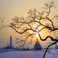 *** :: Сергей Григорьев