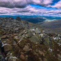 Дали без края. :: Юрий кот