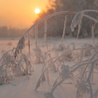 Нежность зимы :: Сергей Герасимов Нежность зимы :: Сергей Герасимов