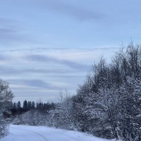 Зимний день :: Ольга Савельева 