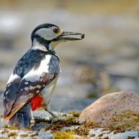 ...успешная... :: Andrey Bragin 