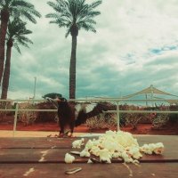 13  ОПЕН (812) :: OPEN WAYS ALL