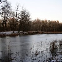 Парк Александрия :: Наталья Герасимова