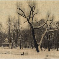 My magic Petersburg_03251_Таврический сад :: Станислав Лебединский My magic Petersburg_03251_Таврический сад :: Станислав Лебединский