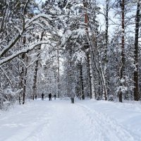 Какая зима без лыжного спорта! :: Милешкин Владимир Алексеевич 