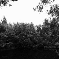 Фотография :: Денис Безногов Фотография :: Денис Безногов