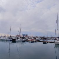 Порт Сочи :: Tata Wolf