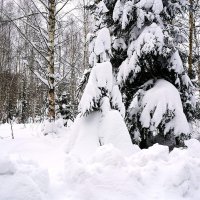 Зима за городом :: Татьяна Тюменка