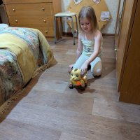 Игрушка :: Андрей Хлопонин