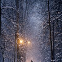 Зимняя прогулка :: Дмитрий Колесников