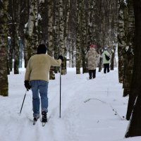 Активный отдых в парке. :: Наталья Вязигина