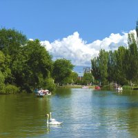 Пейзажи  Гагаринского  парка :: Валентин Семчишин