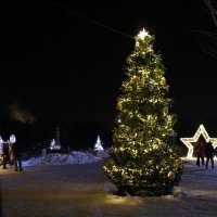 Ёлка в парке "Патриот" :: Ольга 