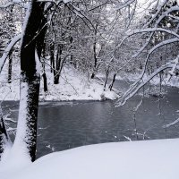 Парк Южный, Калининград :: Рита Симонова