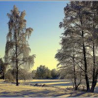 *** :: Aleksandr Gal *** :: Aleksandr Gal