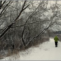 *** :: Aleksandr Gal