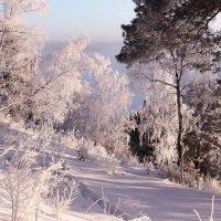 Берег Оби :: елена беликова