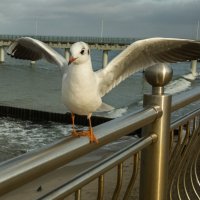 фотомодель :: Виталий фотомодель :: Виталий