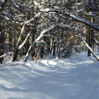 В парке... :: Freddy 97