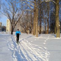 По накатанной лыжне :: Мария Васильева