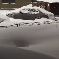 мерин в барханах снегов утонувший :: Артём 