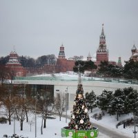 Зима-2026 :: Evgeny Mameev