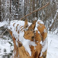 портрет зимний :: Владимир портрет зимний :: Владимир