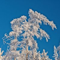 ****** :: Вячеслав Овчинников